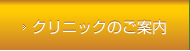 クリニックの案内